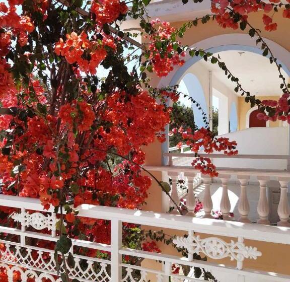 هتل Sunflower Apartments & Studios