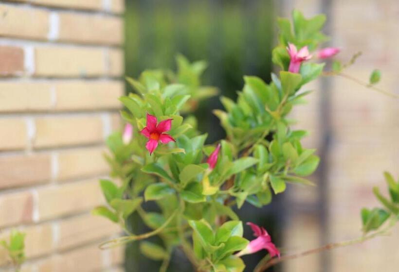 هتل Sunflower Apartments & Studios