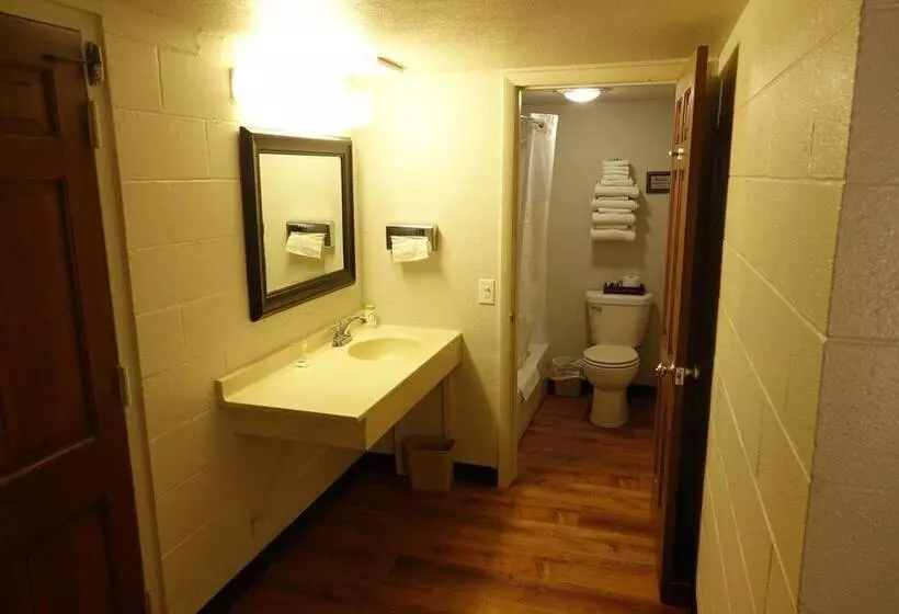 Hotelli The Castle Inn