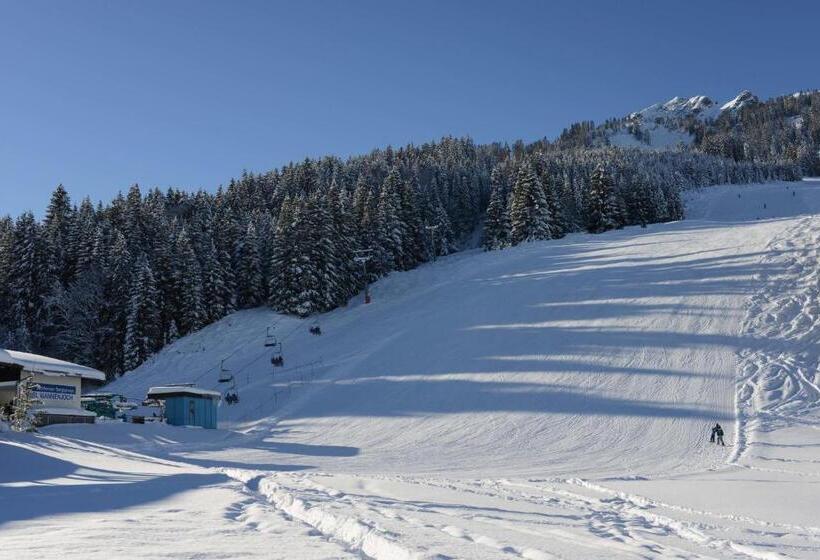 酒店 Alpengasthof Zur Post