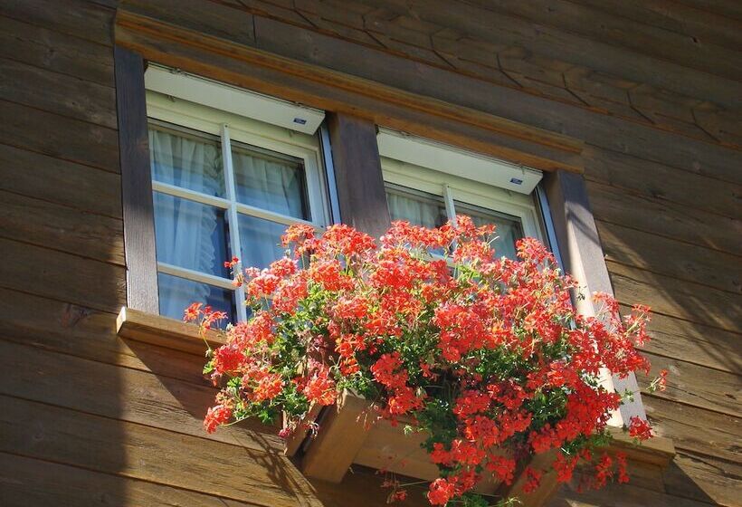 ホテル Arcade Apartments