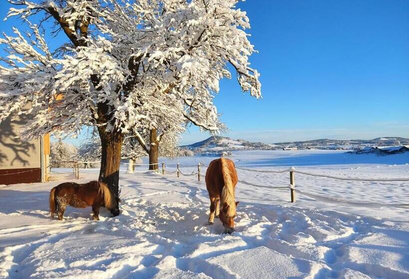 ホテル Bauernhofferien Oberdürnberg