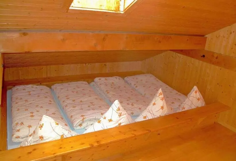 هتل Berggasthaus Wasenalp