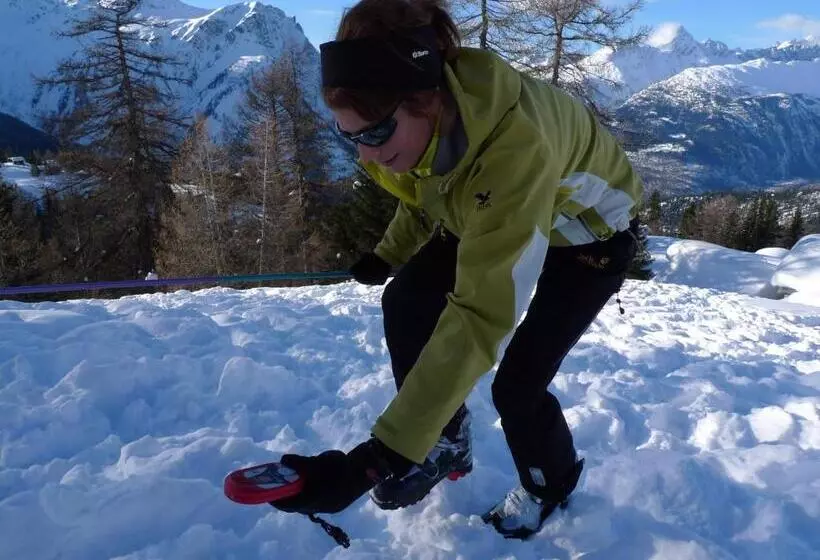 هتل Berggasthaus Wasenalp