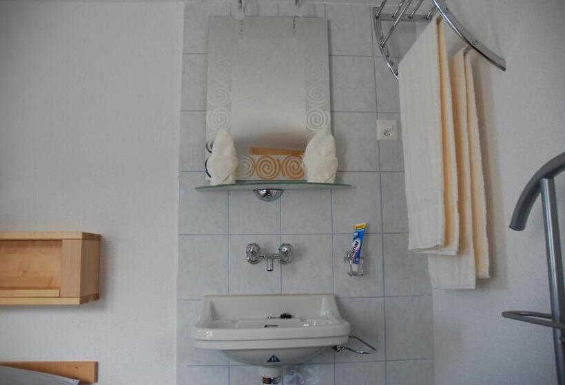 Отель Berggasthaus Wasenalp