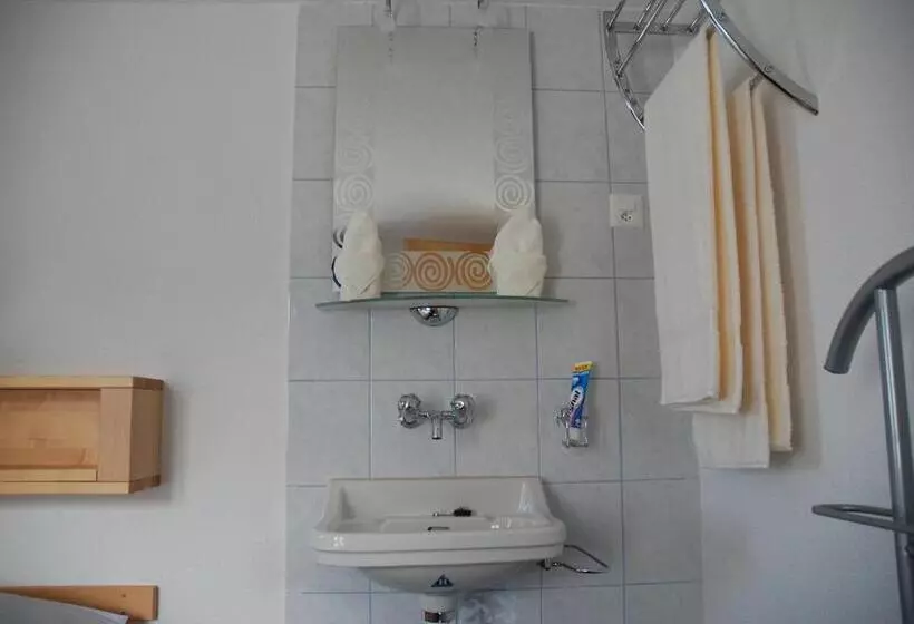 هتل Berggasthaus Wasenalp