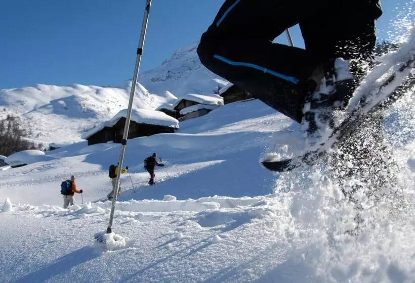 هتل Berggasthaus Wasenalp