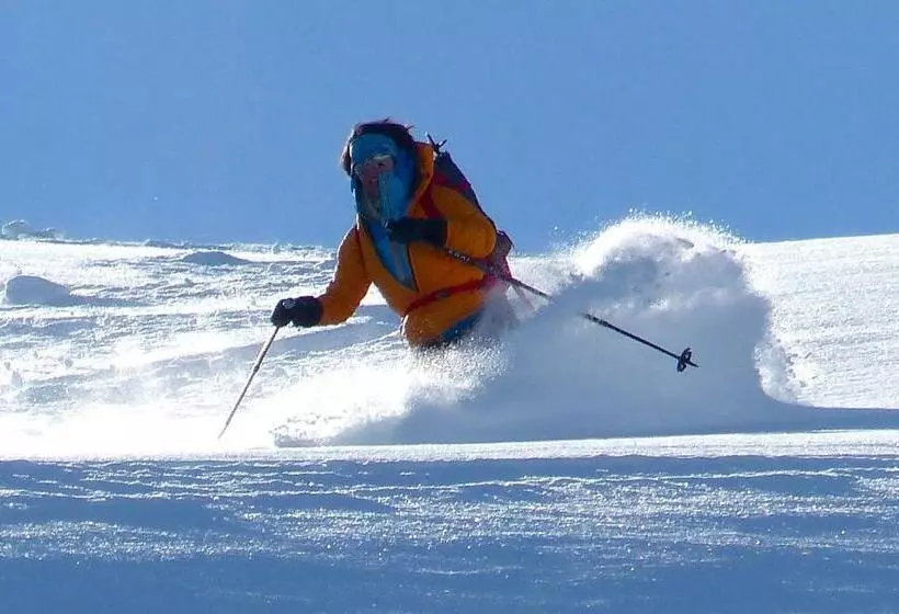 هتل Berggasthaus Wasenalp