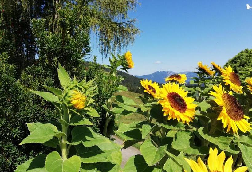 ホテル Berghaus Koglmoos