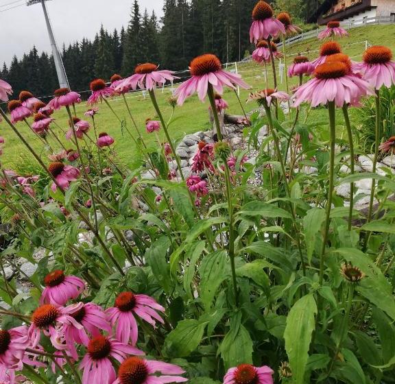 ホテル Berghaus Koglmoos