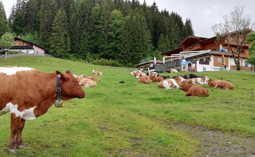 ホテル Berghaus Koglmoos