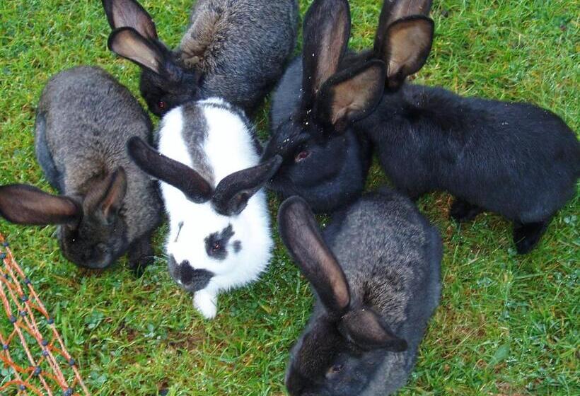 ホテル Berghaus Koglmoos