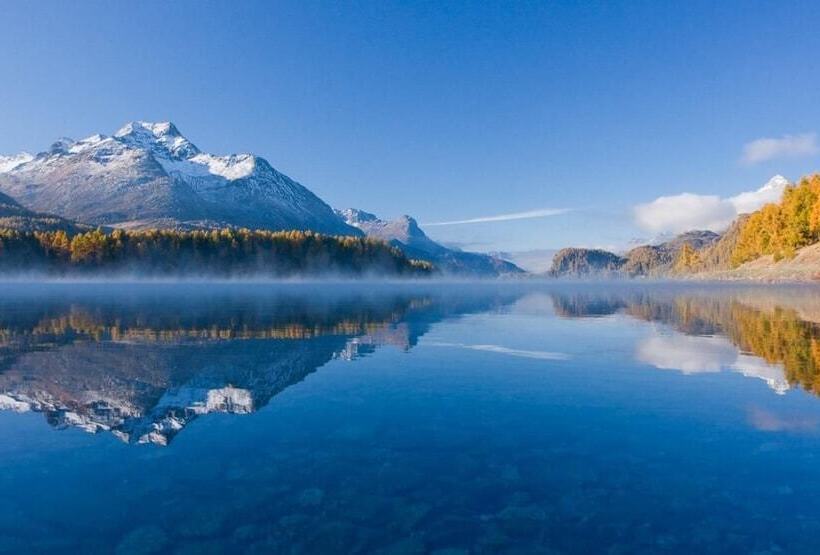 فندق Bever Lodge