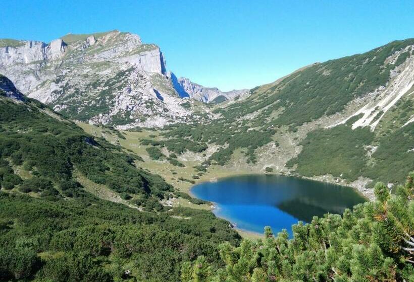 Отель Bichlerhof