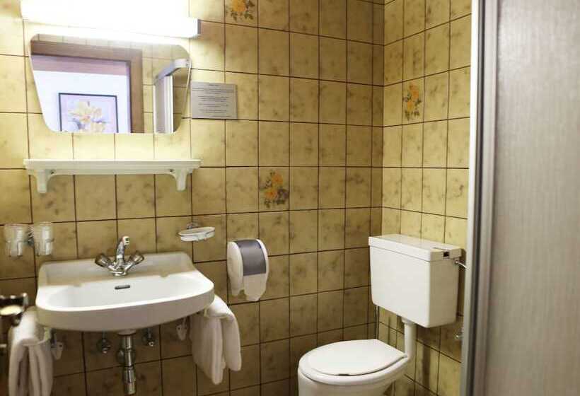 Отель Gasthof Pension Madseiterhof