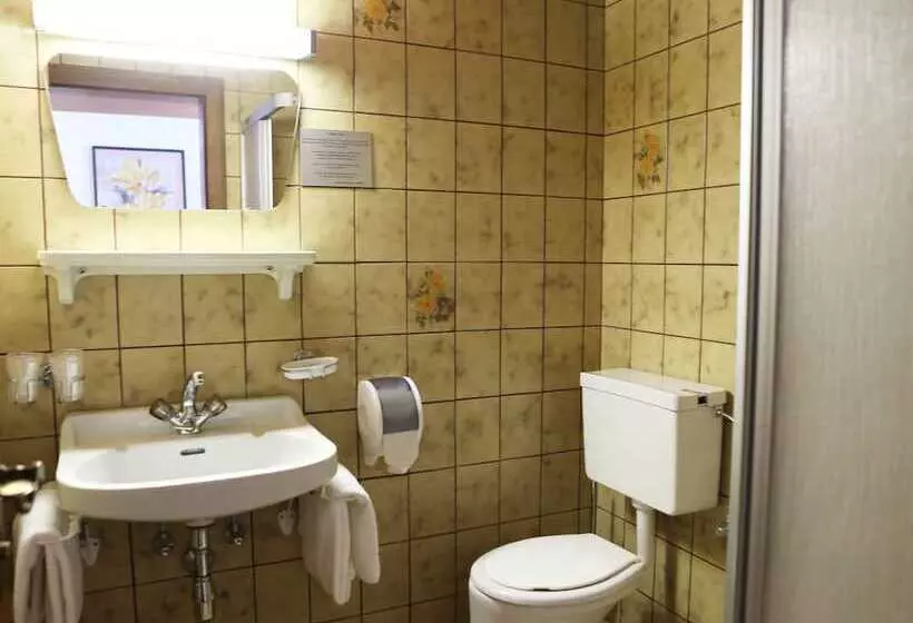 Hotelli Gasthof Pension Madseiterhof