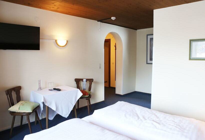 Отель Gasthof Pension Madseiterhof