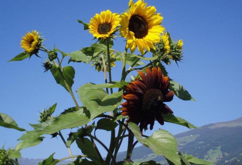 Отель Haus Brugger