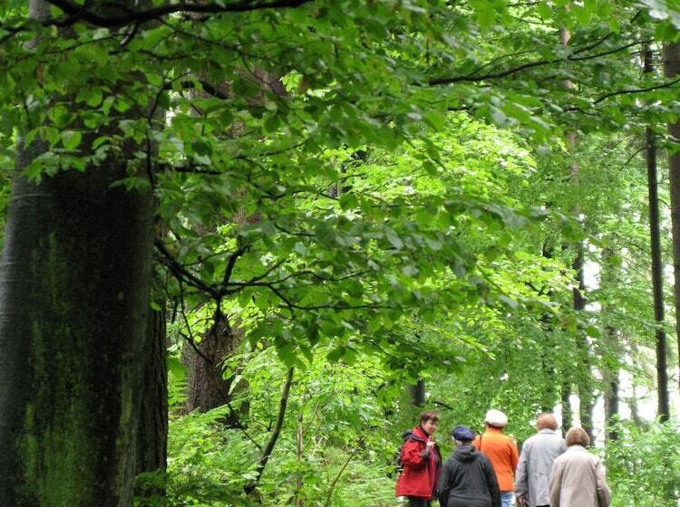 Отель Kurhaus Dr. Petershofer