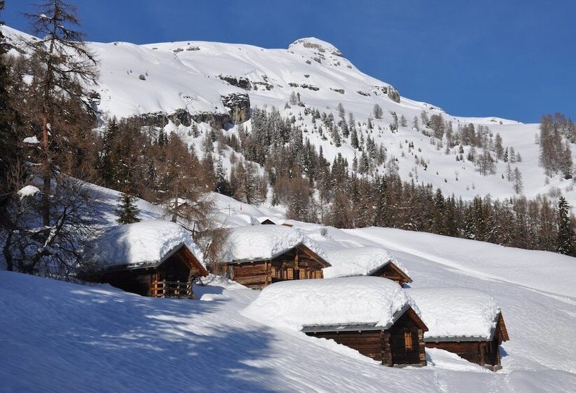 酒店 Le Mayen De Colombire