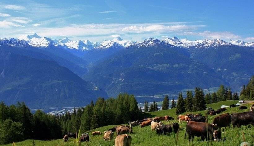 酒店 Le Mayen De Colombire