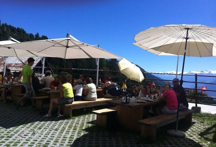 酒店 Le Mayen De Colombire