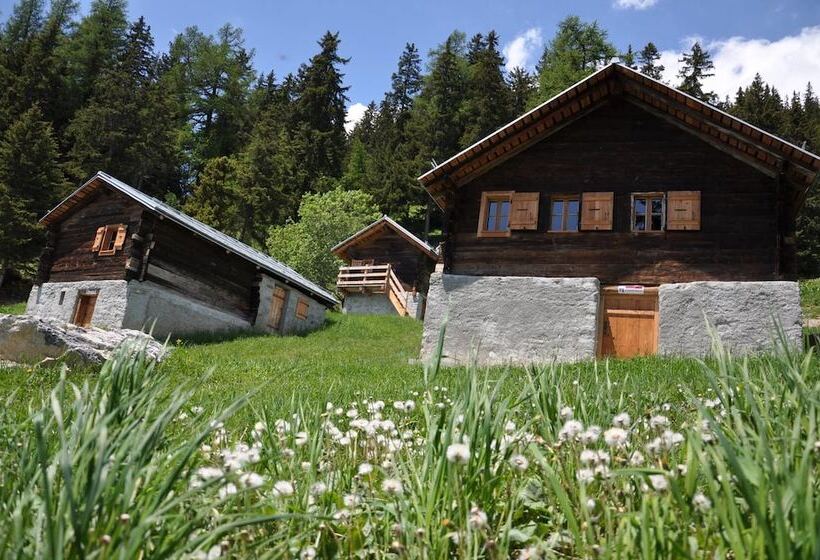 酒店 Le Mayen De Colombire