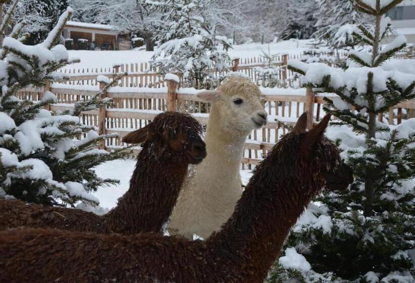 酒店 Natur Resort Rissbacher