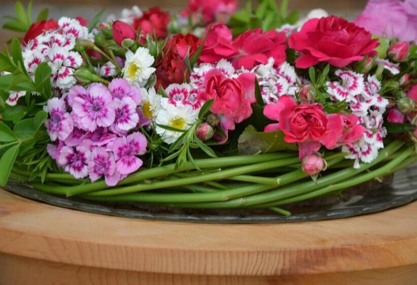 酒店 Natur Resort Rissbacher