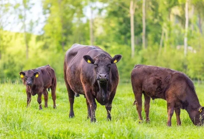 酒店 Ofnerhof Gruber