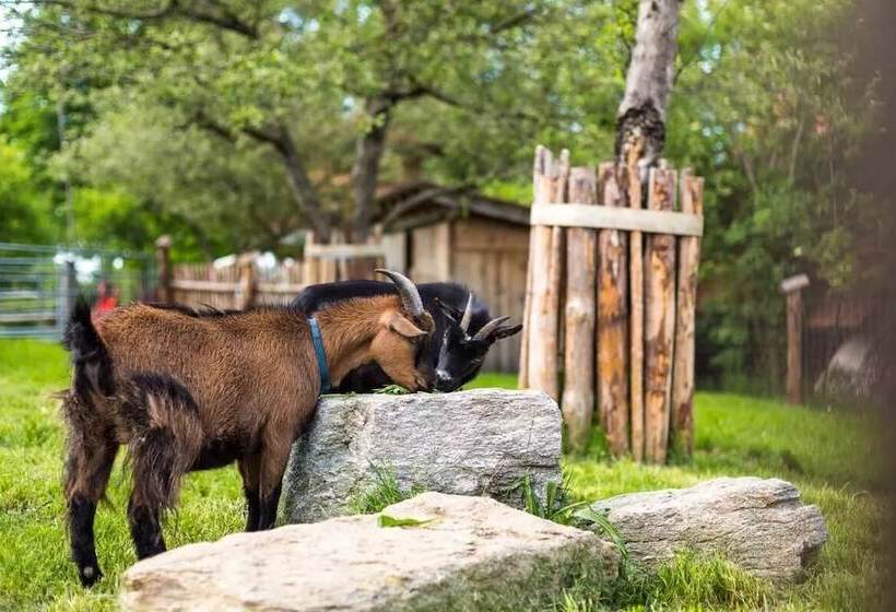 酒店 Ofnerhof Gruber