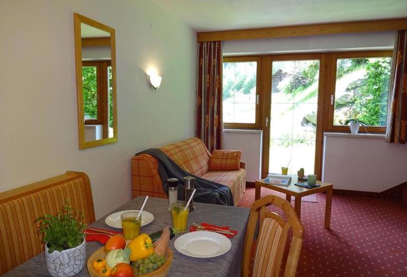 Отель Sportapart Schweighofer