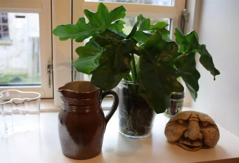 Akaciegaarden Bed & Breakfast