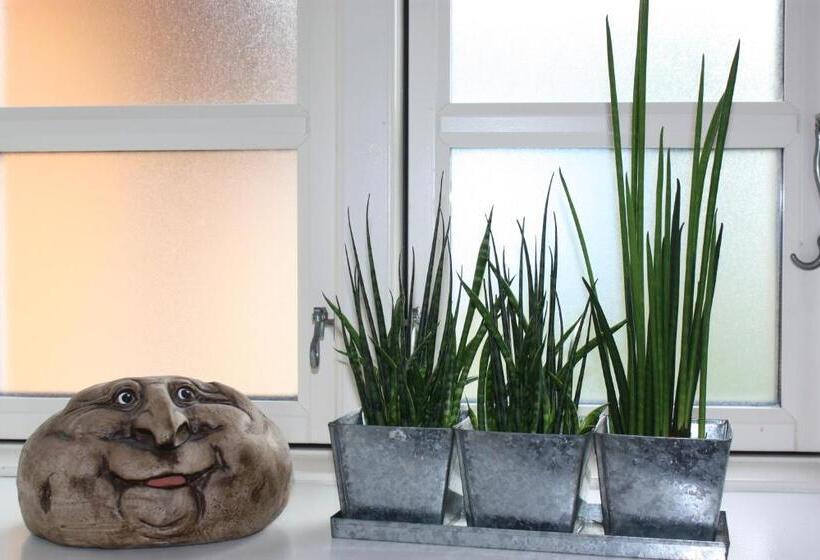 Akaciegaarden Bed & Breakfast