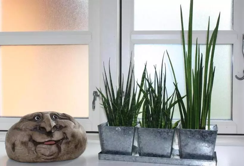 Akaciegaarden Bed & Breakfast