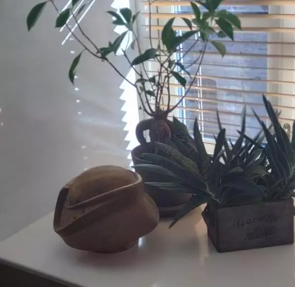 Akaciegaarden Bed & Breakfast