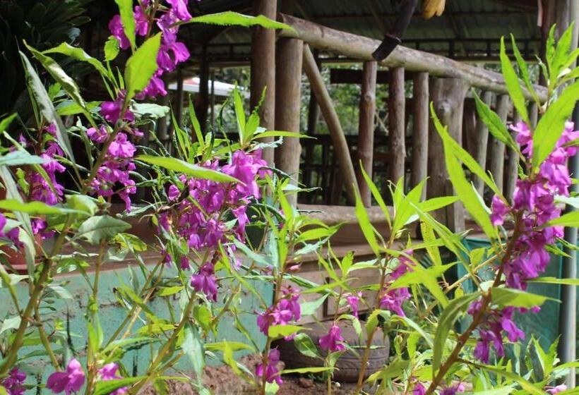 Общежитие Montaña Verde