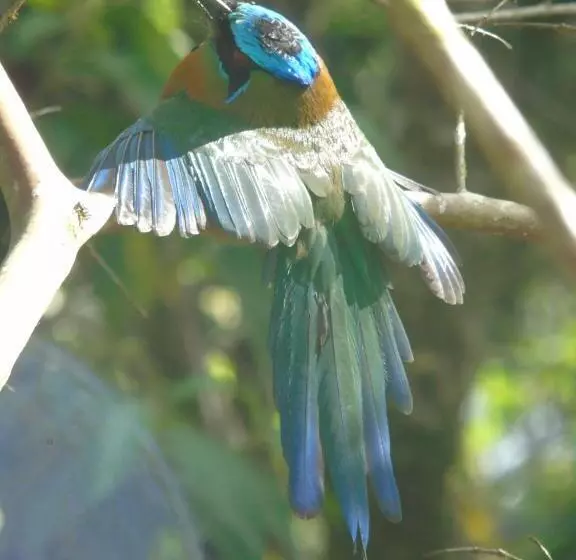 Retkeilymaja Montaña Verde