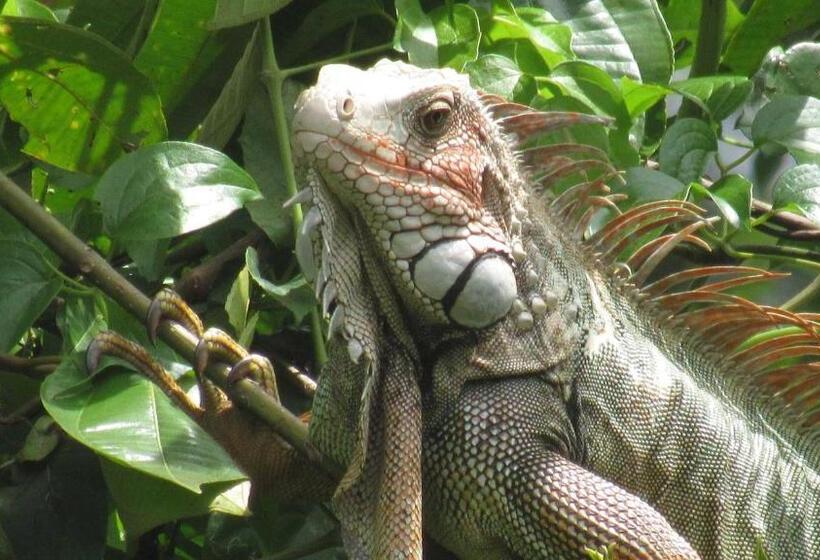 Общежитие Montaña Verde