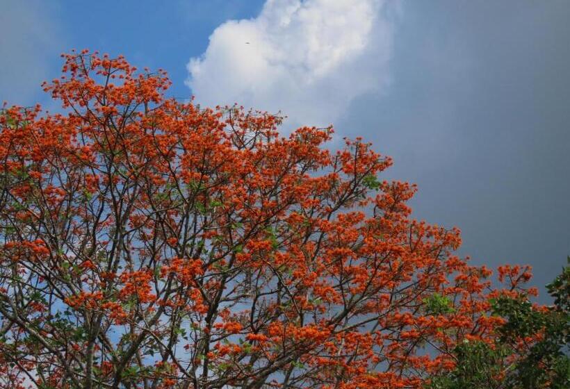 Общежитие Montaña Verde