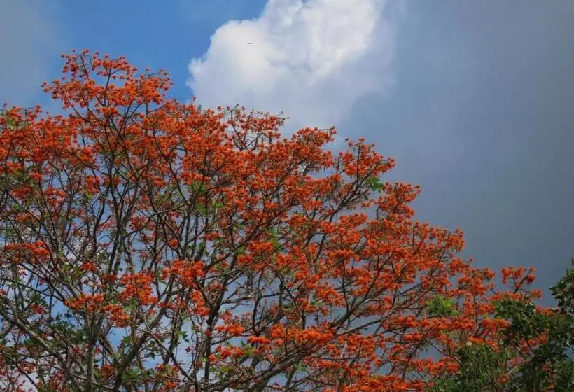 Retkeilymaja Montaña Verde