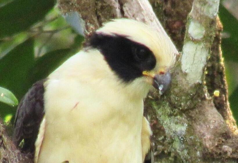 Общежитие Montaña Verde