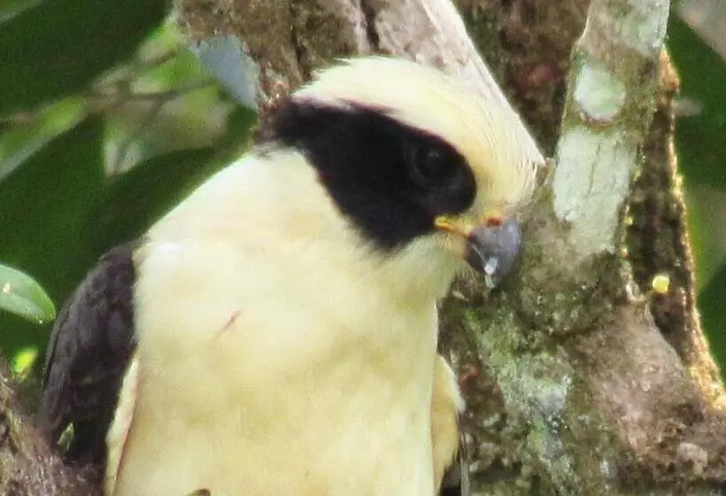 Retkeilymaja Montaña Verde