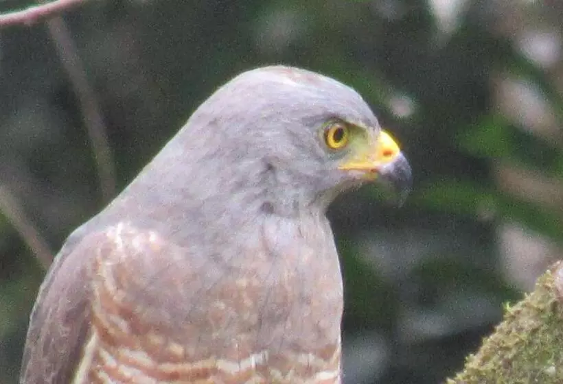 Retkeilymaja Montaña Verde