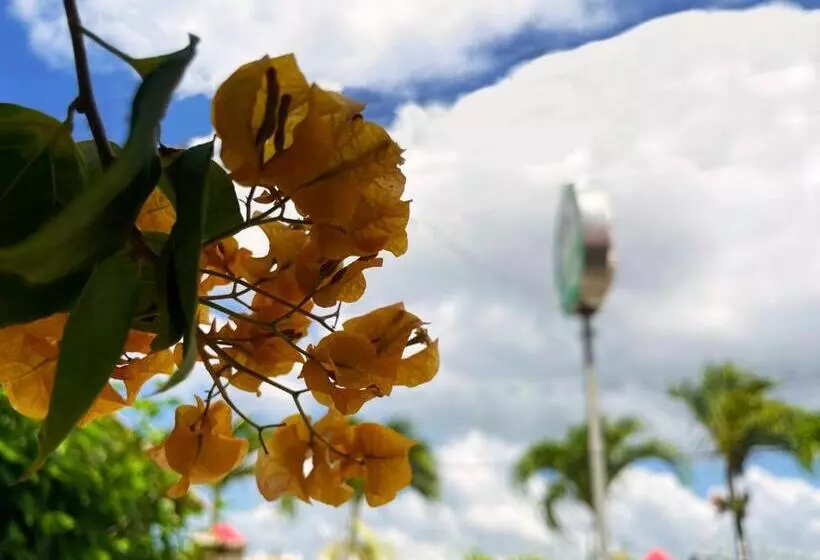 Casa Hotel Mateguadua