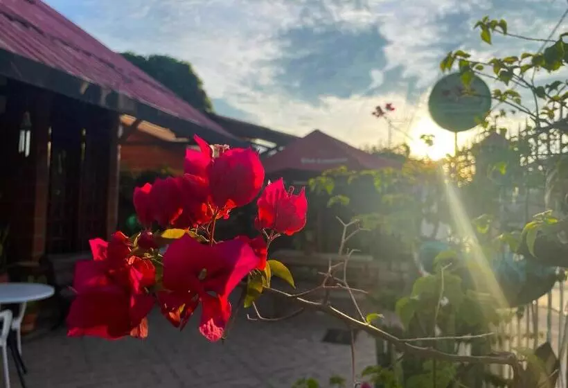 Casa Hotel Mateguadua