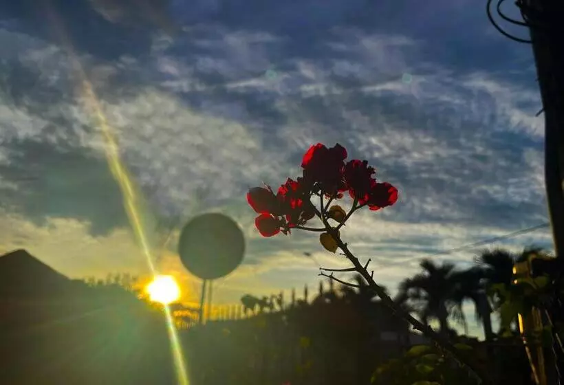 Casa Hotel Mateguadua