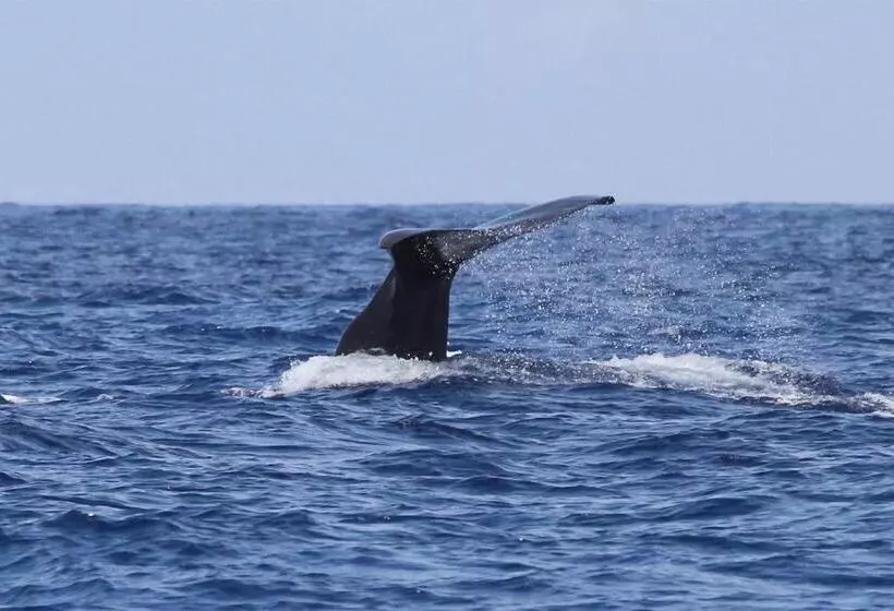 Hotelli Brygga Restaurant And Rooms