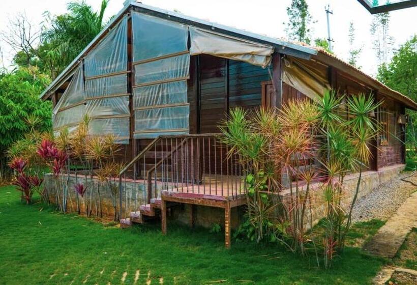 Hotel Divine Nature Homestay