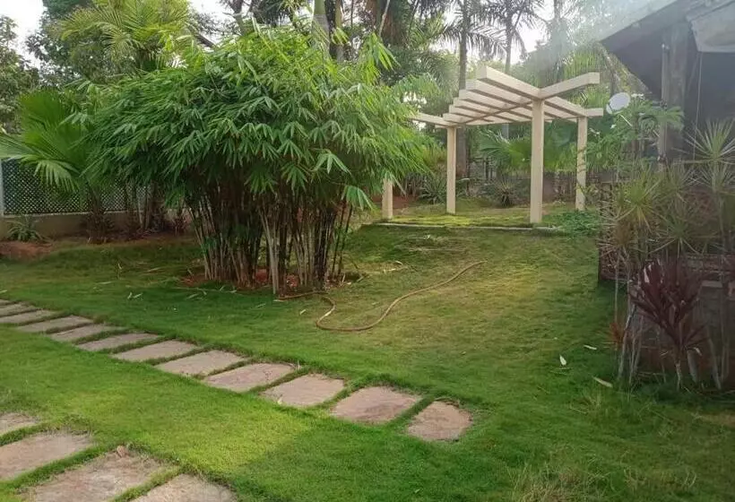 ホテル Divine Nature Homestay